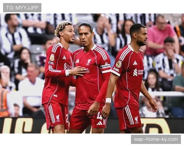 欧冠赛事竞争白热化 仅剩两轮多队争夺出线权 欧冠赛事竞争白热化 仅剩两轮多队争夺出线权